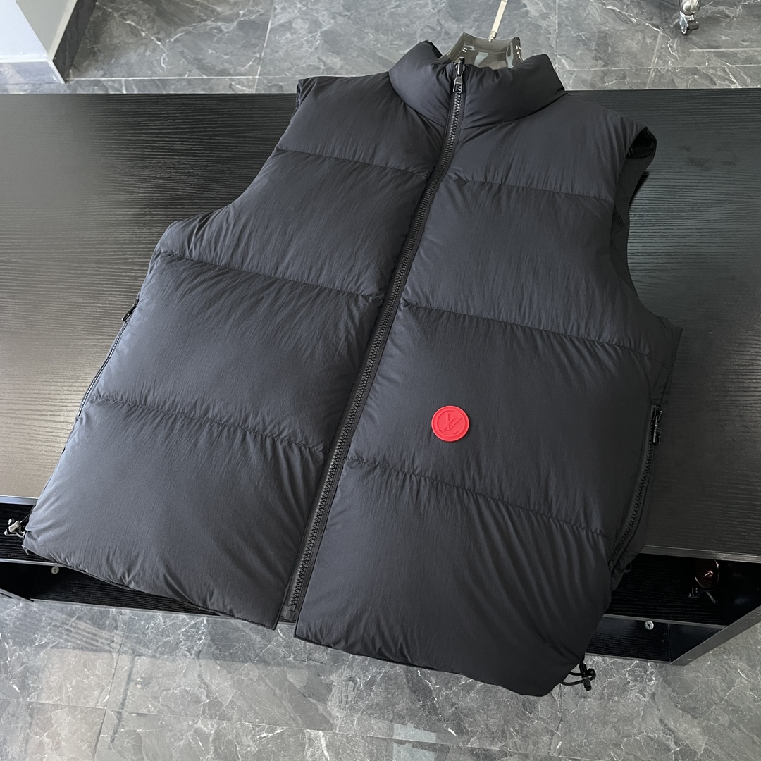 Louis Vuitton Down Jackets